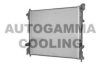 AUTOGAMMA 107461 Radiator, engine cooling